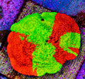 WWC Jawbreaker Cap