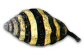 Bumblebee Snail