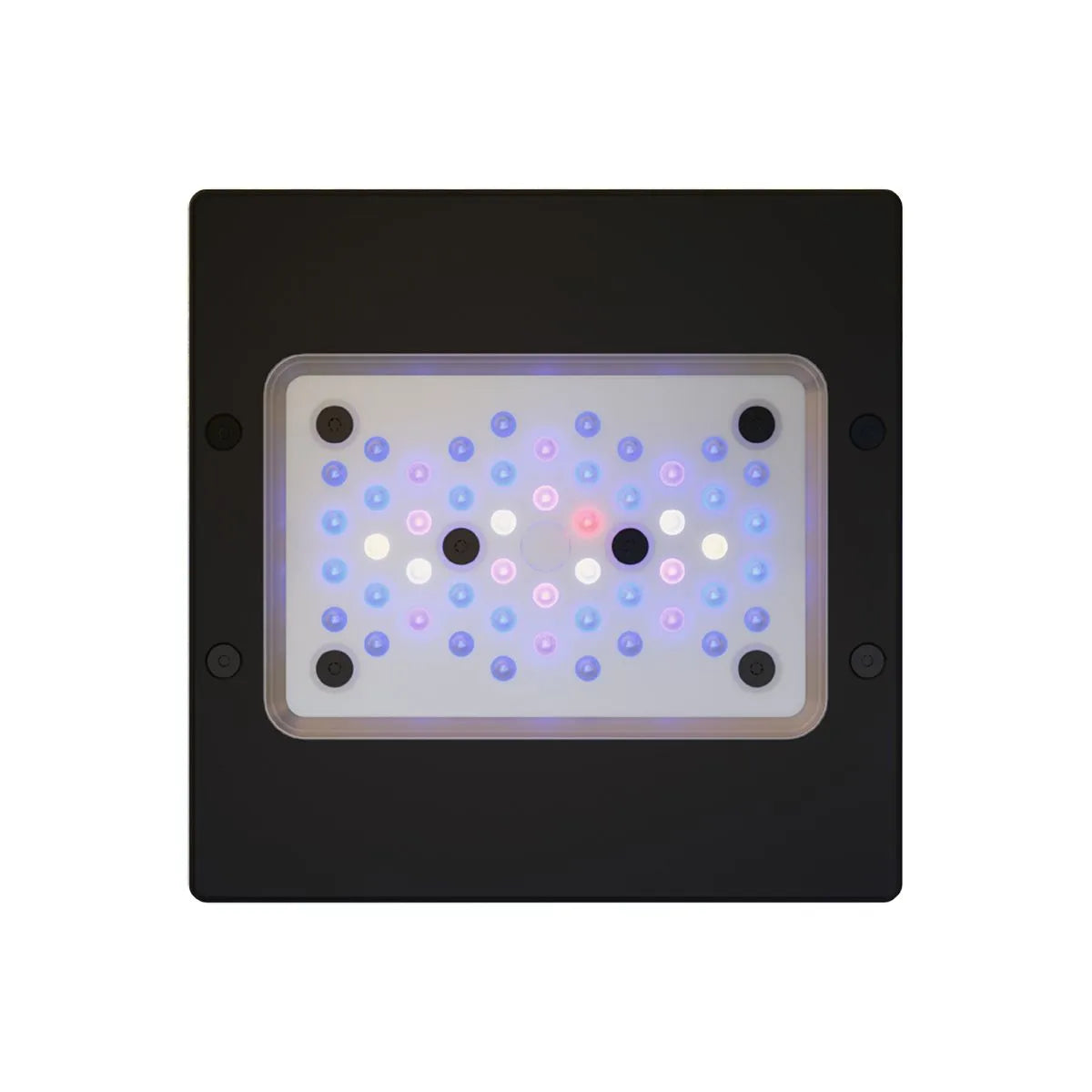 EcoTech Radion XR15 G6 Blue