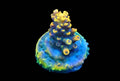 Wolverine Acropora